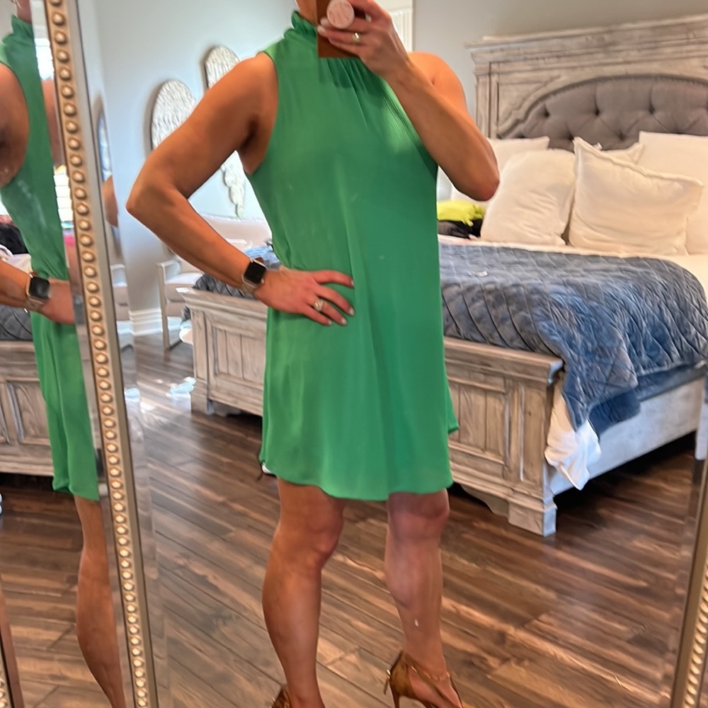 Spring Dress Time - Picture 2 of 7